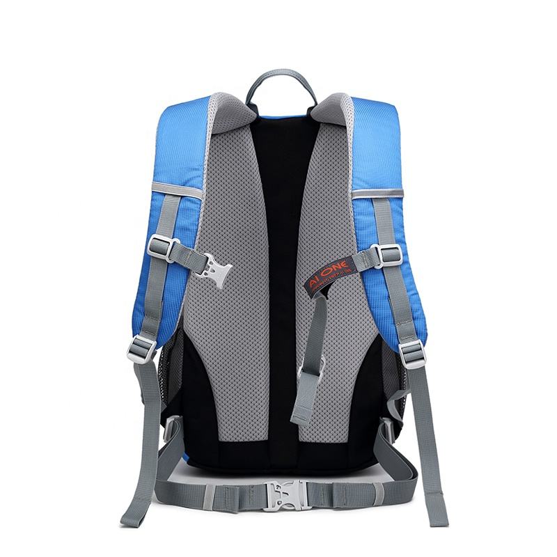 Ai One 20L Backpack (Red, Light Blue & Blue)