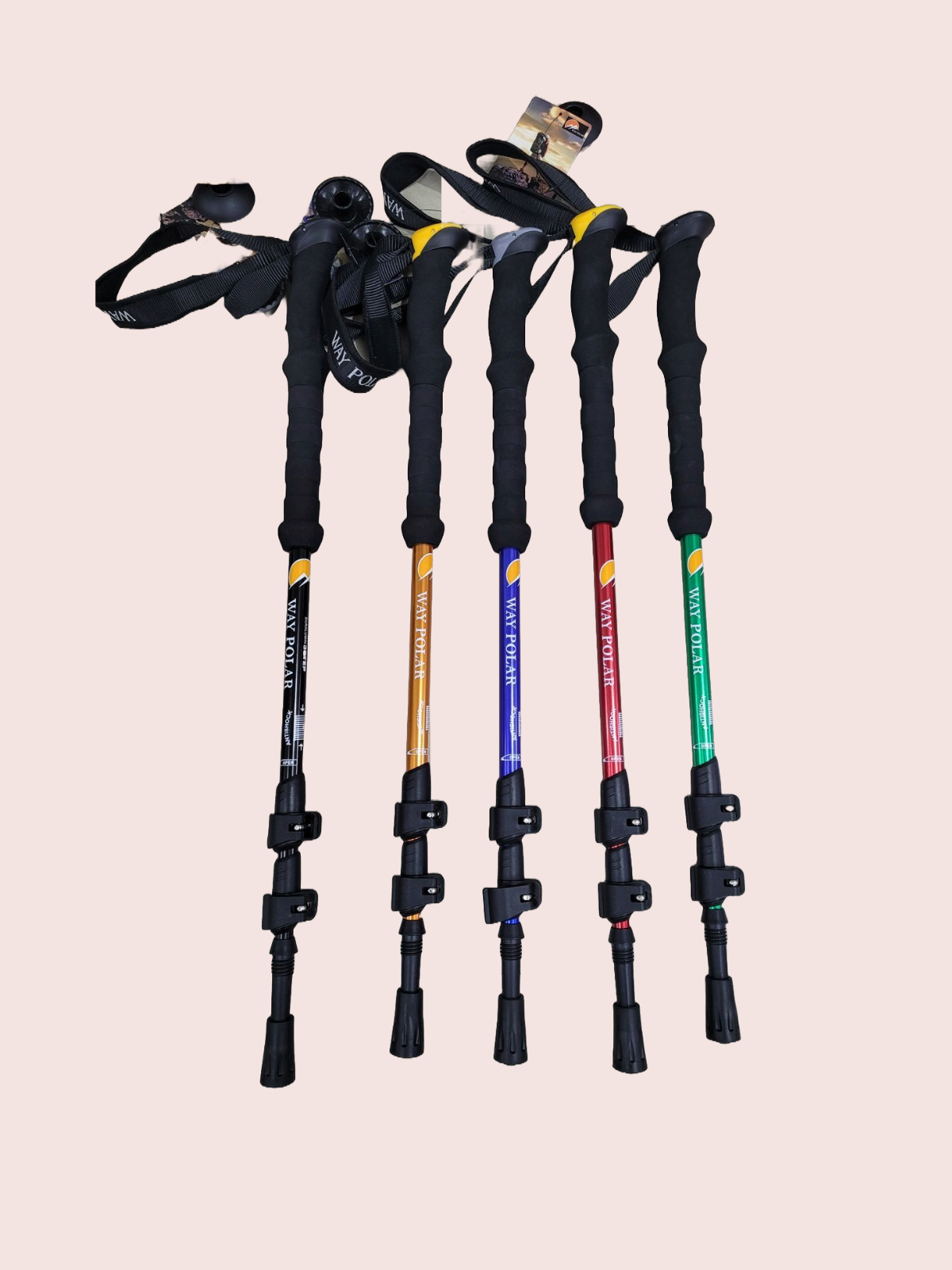 Way Polar Trekking/Hiking Pole | Anti Shock
