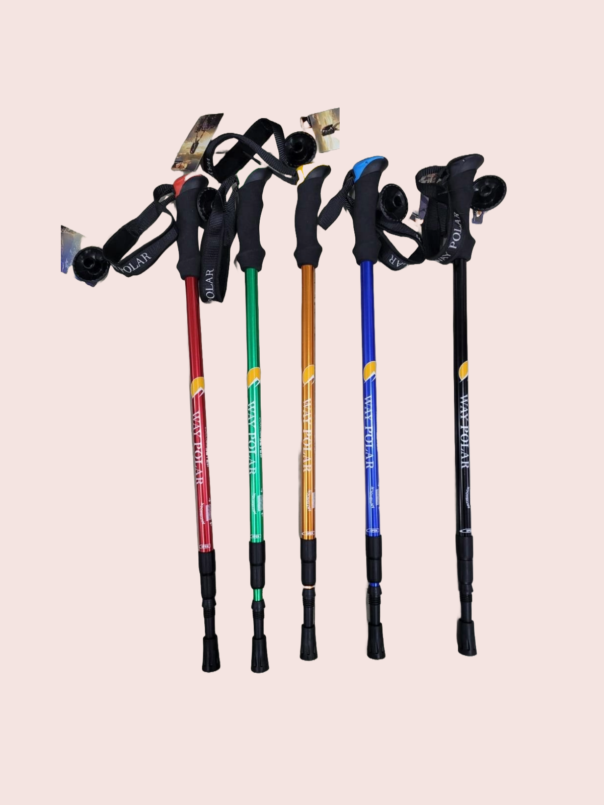 Way Polar Trekking Pole with Absorbent grip | Anti Shock