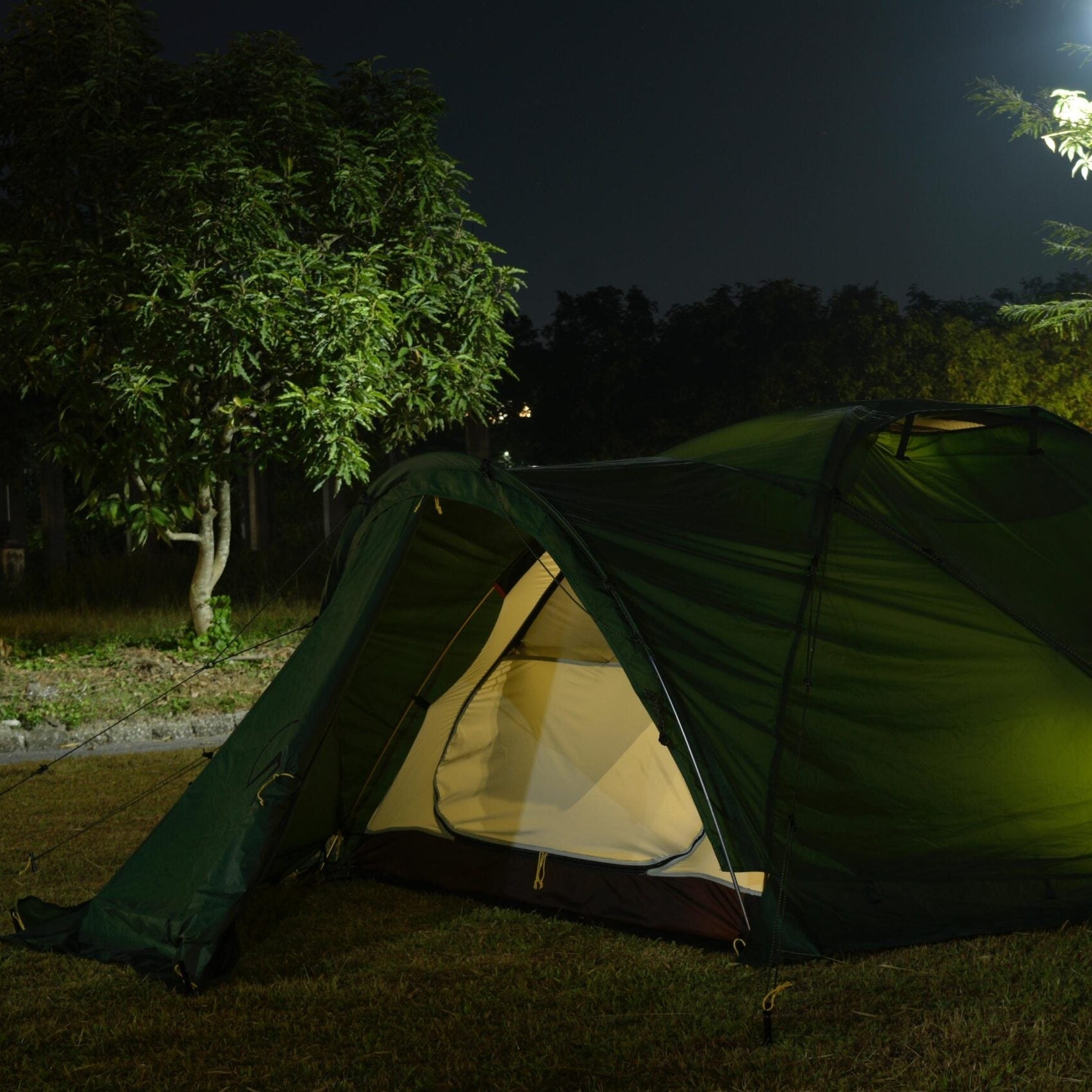 Green tent set up in a park at night with trees and a light pole in the background.