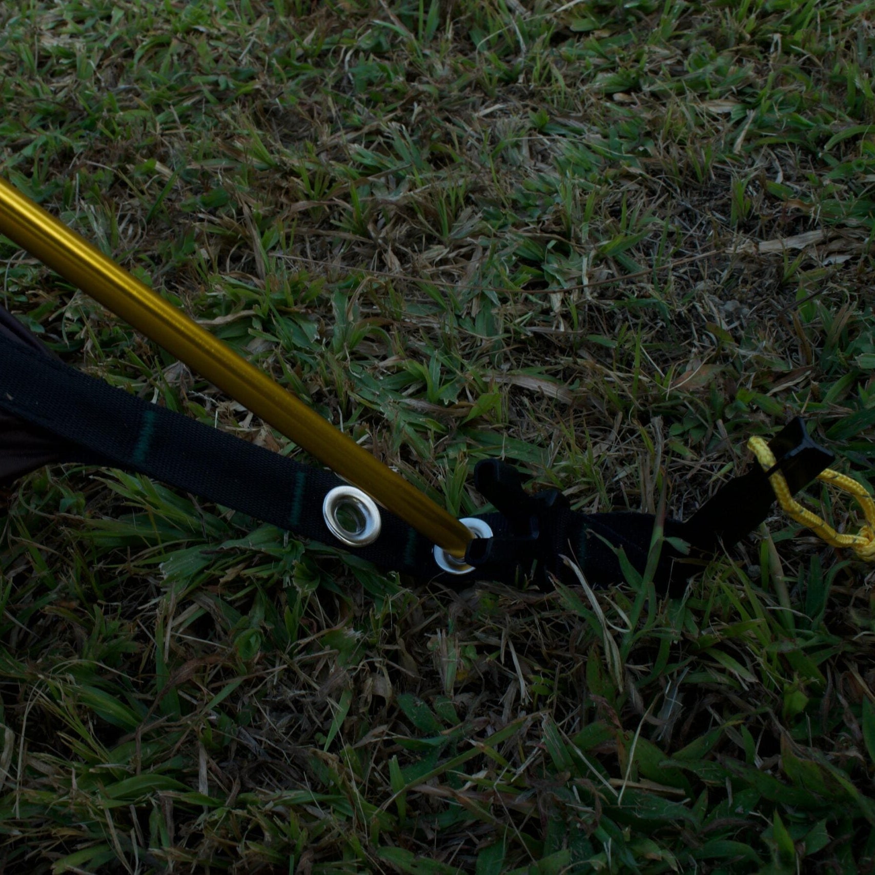 Section of a tent with a pole on grass